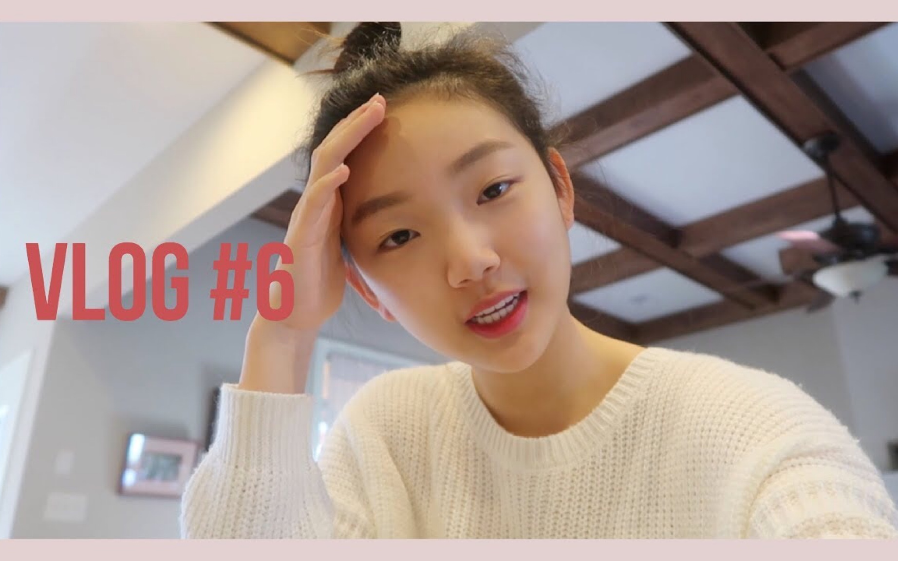 中字|youjin|美国高中生的一日vlog 我逃学了? !